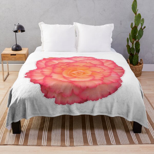 Item preview, Peachy-pink Begonia designed and sold by LadyKandis.