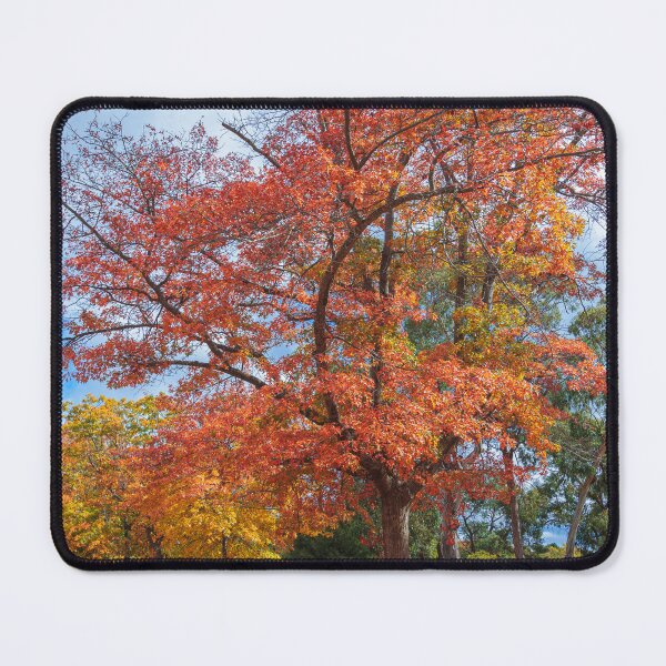 Item preview, Autumnal Colours designed and sold by johno60.