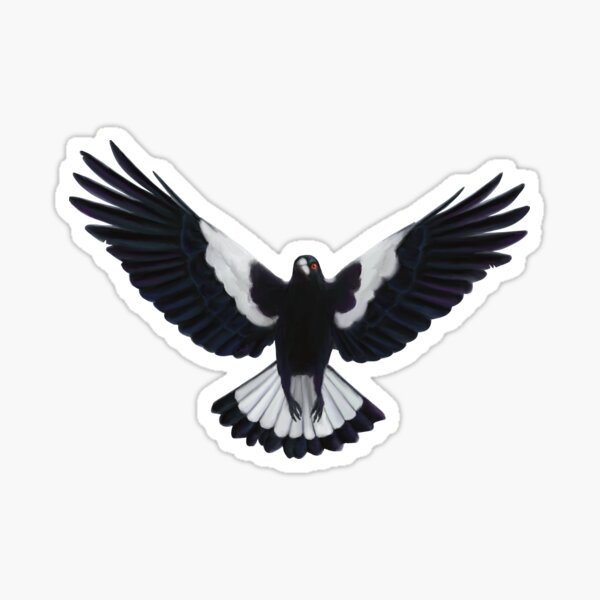 Item preview, Swooping magpie. Magpie illustration. Australian theme decor, original artwork. Unique gift. designed and sold by PlumpPlumStudio.