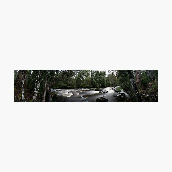 Cuvier River Photographic Print