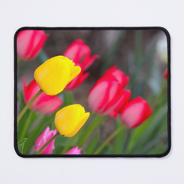 Item preview, Jim's Tulips designed and sold by jenstever.
