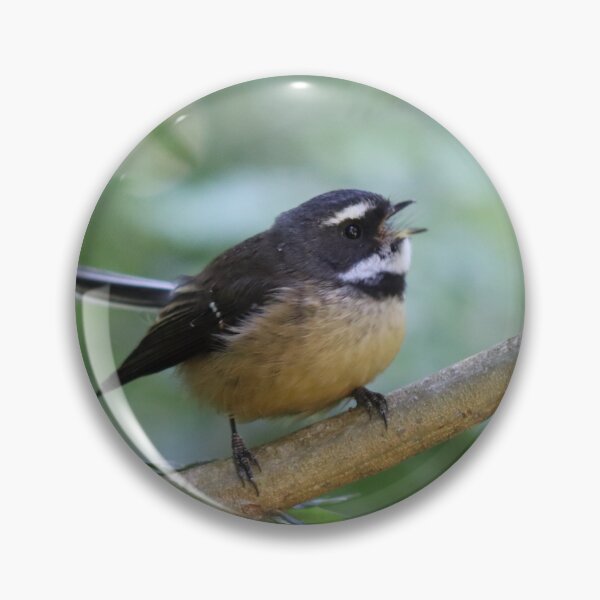 Item preview, Cute fantail photography  designed and sold by -Lily-Anne-.