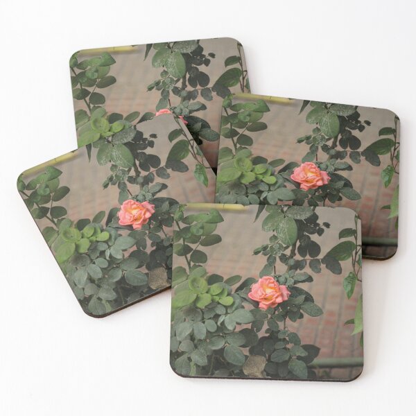 Item preview, The Coral Rose designed and sold by ElloraSocial.