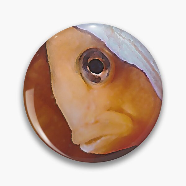Item preview, Found him at the Great Barrier Reef! Clownfish in anemone designed and sold by Twenty Twenty Visions.
