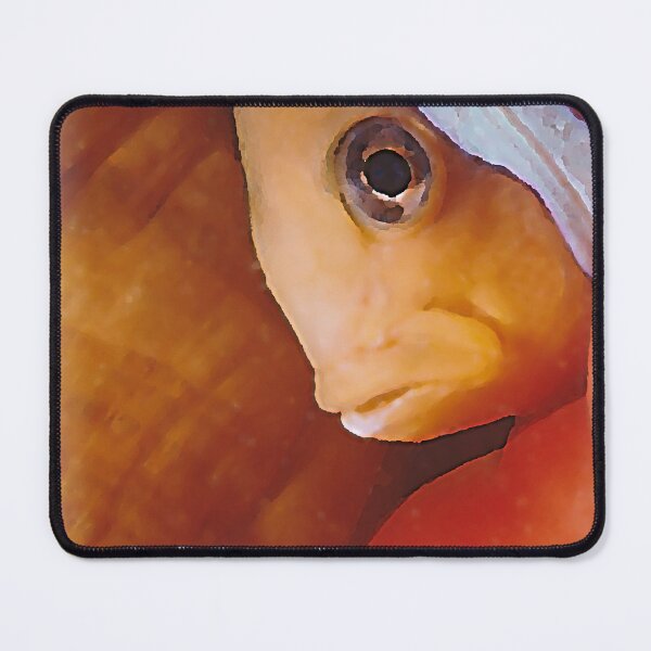 Item preview, Found him in the Red Sea, Saudi Arabia! Clownfish in anemone designed and sold by Twenty Twenty Visions.