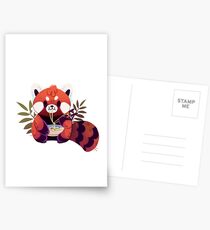 Red Panda Eating Ramen Postcards