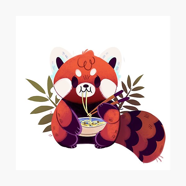 Panda rouge mangeant des ramen Impression photo