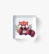 Red Panda Eating Ramen Acrylic Block