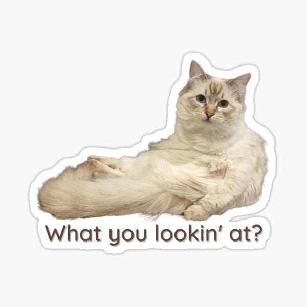 Was du ansiehst Sticker