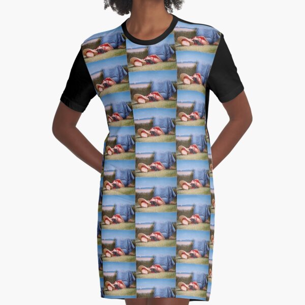Interlude - Oil painting by Avril Thomas - Adelaide / South Australia Artist Graphic T-Shirt Dress