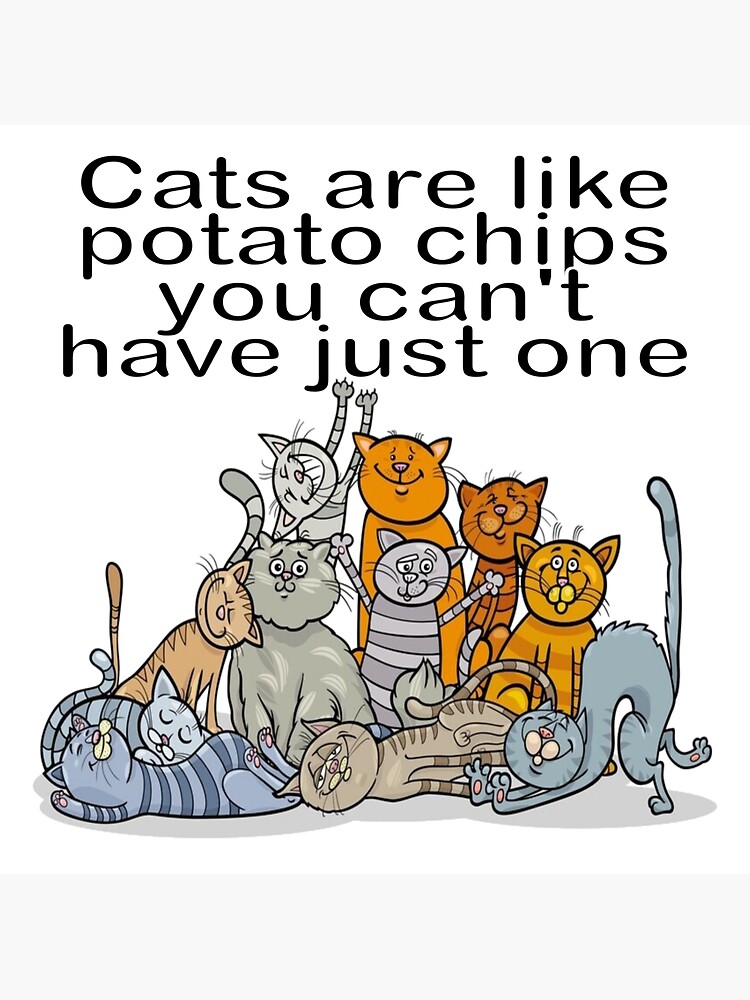 "Cats are like potato chips, you can't have just one" Sticker by