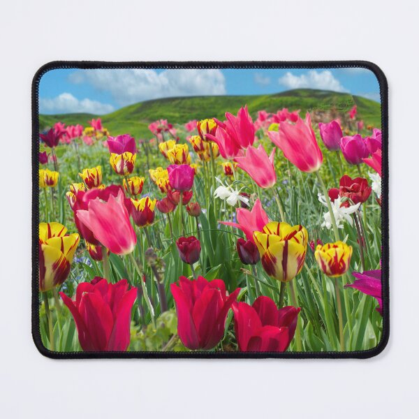 Item preview, Colourful Tulips designed and sold by Alisonchambers2.
