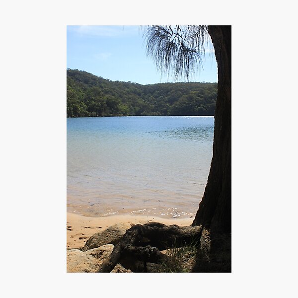 Item preview, The Basin, Pittwater, Sydney (b) designed and sold by Jane Wilkinson-Franssen.
