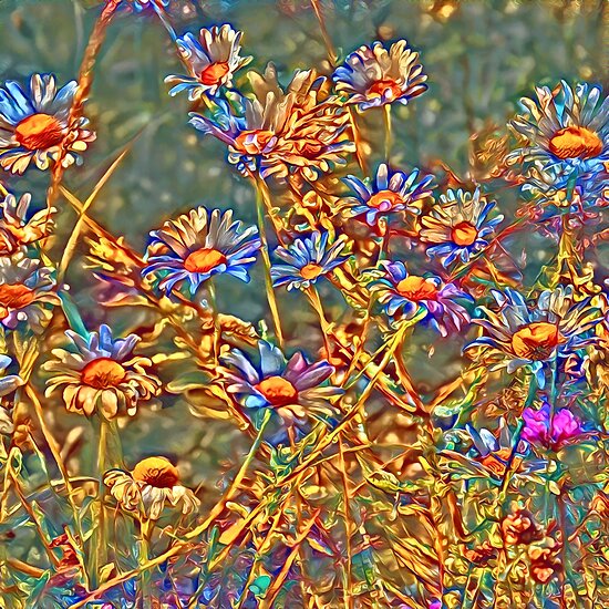 Wildflowers
