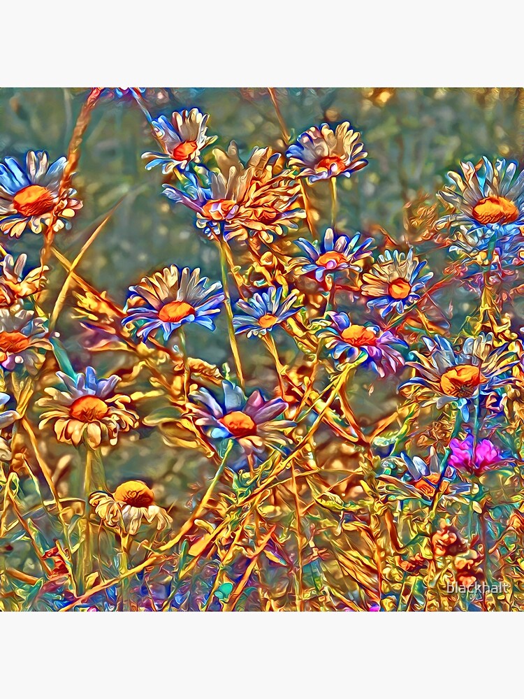 Wildflowers by blackhalt