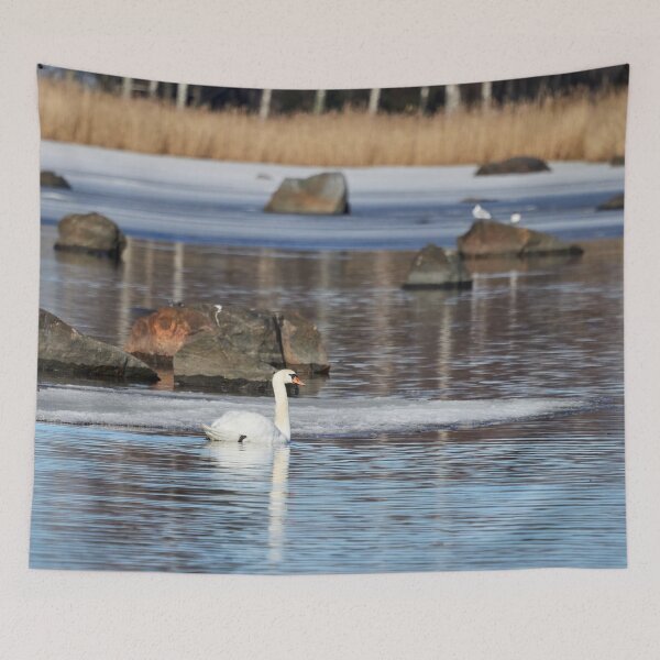 Item preview, Nadando en silencio en el agua helada. cisne mudo designed and sold by Jouko Lehto Photography.