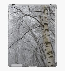 Its Snow Time of Year iPad Case/Skin