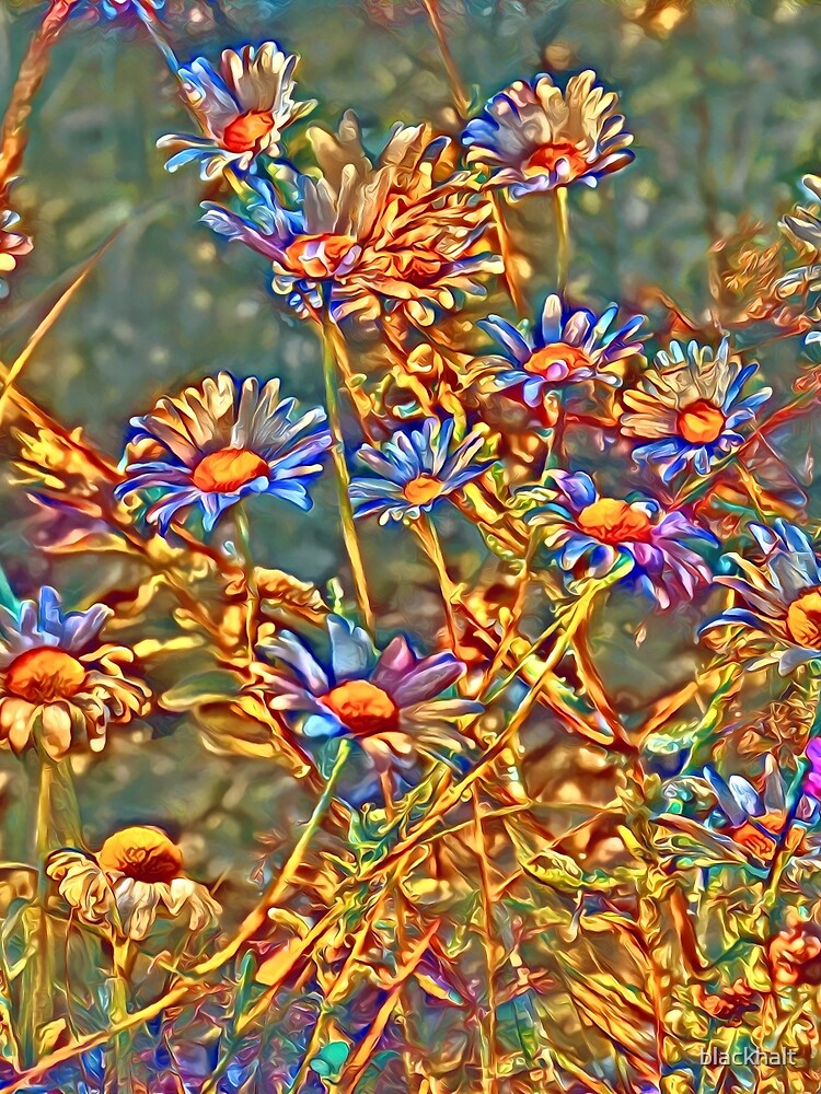 Wildflowers by blackhalt