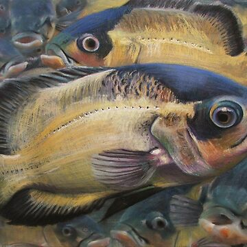 Artwork thumbnail, Oscar Fish Pastel Drawing – Tropical Aquarium Art Print by AvrilThomasart