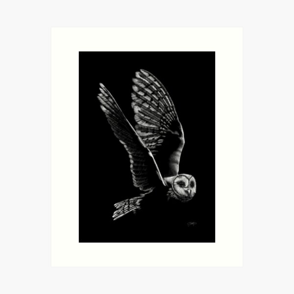 Owl in white pencil Art Print