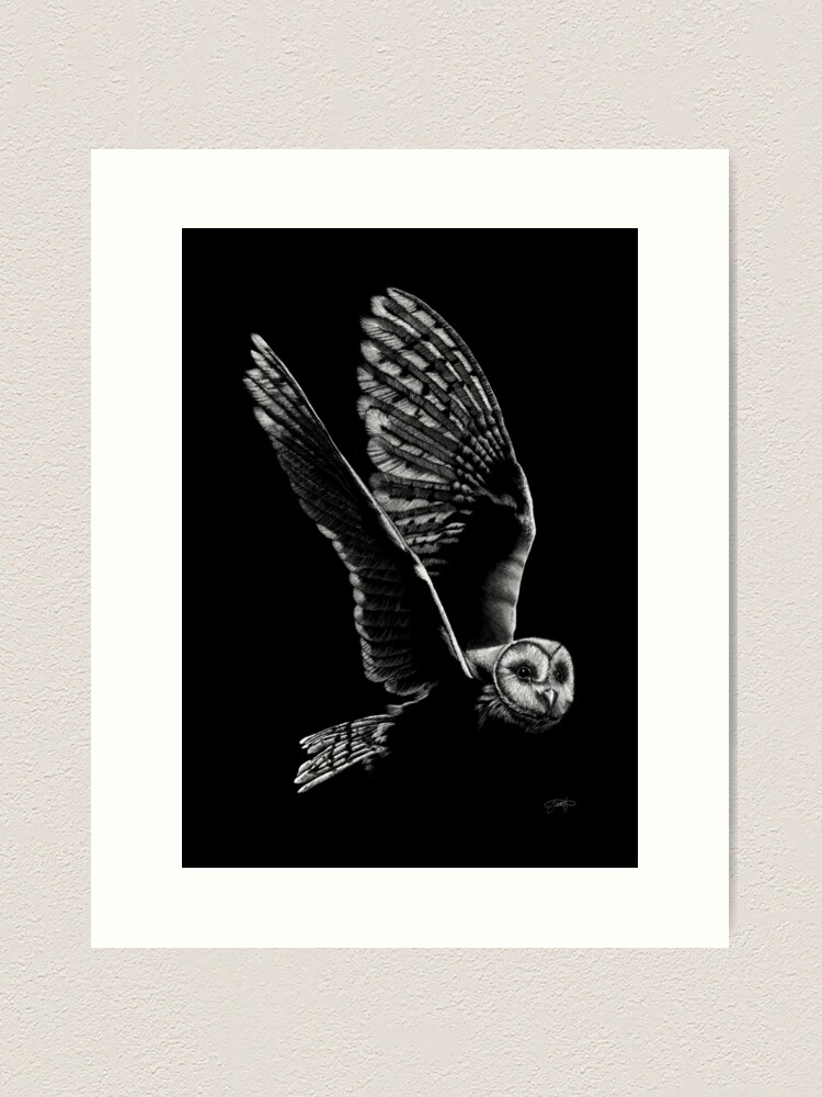 Alternate view of Owl in white pencil Art Print