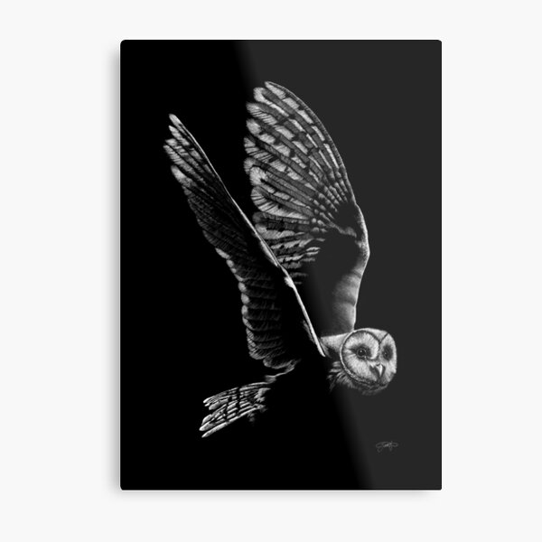 Owl in white pencil Metal Print