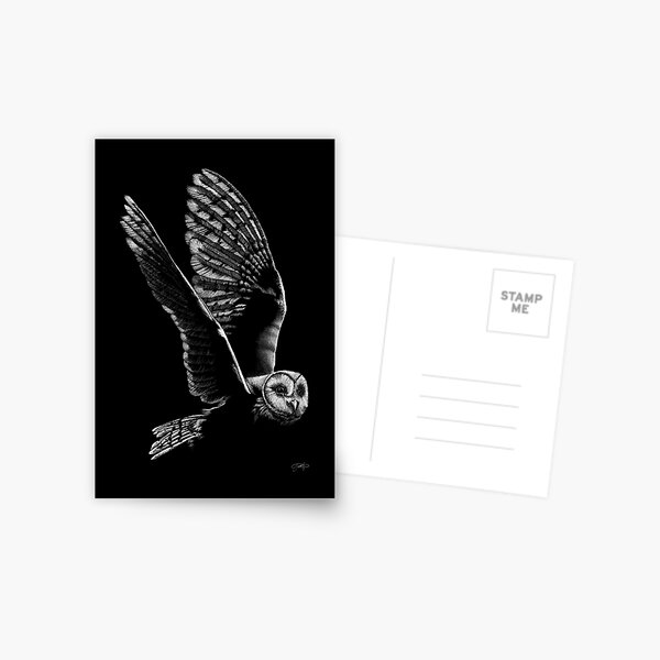 Owl in white pencil Postcard