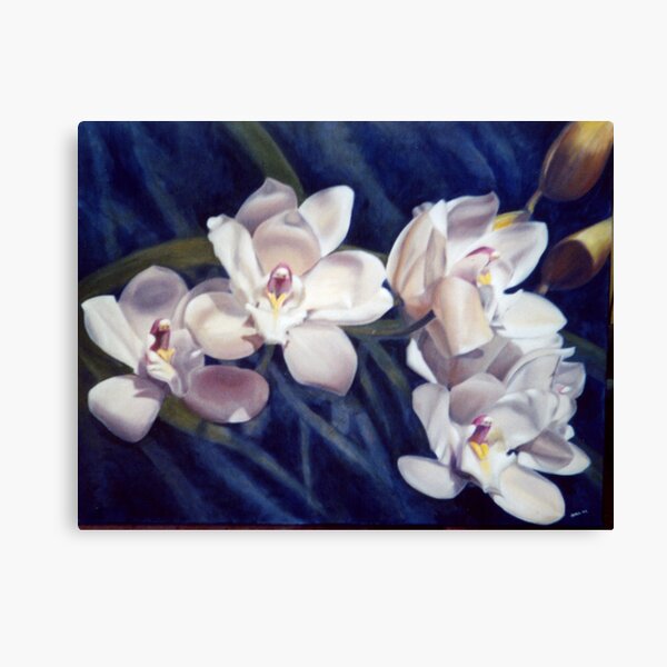 Orchid - Painting by Avril Thomas - Adelaide / South Australia Artist Canvas Print