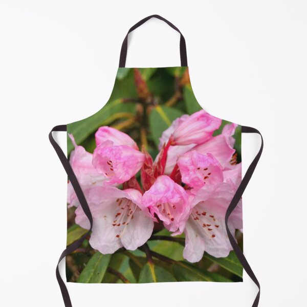 Item preview, Pink and white Rhododendron, Dandenong Ranges, Australia designed and sold by FranWest.