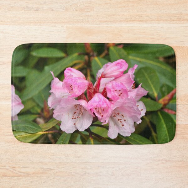 Item preview, Pink and white Rhododendron, Dandenong Ranges, Australia designed and sold by FranWest.