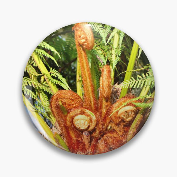 Item preview, Tree fern new growth, Dandenong Ranges, Australia designed and sold by FranWest.