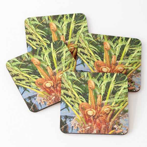 Item preview, Tree fern new growth, Dandenong Ranges, Australia designed and sold by FranWest.
