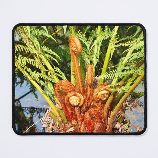 Item preview, Tree fern new growth, Dandenong Ranges, Australia designed and sold by FranWest.