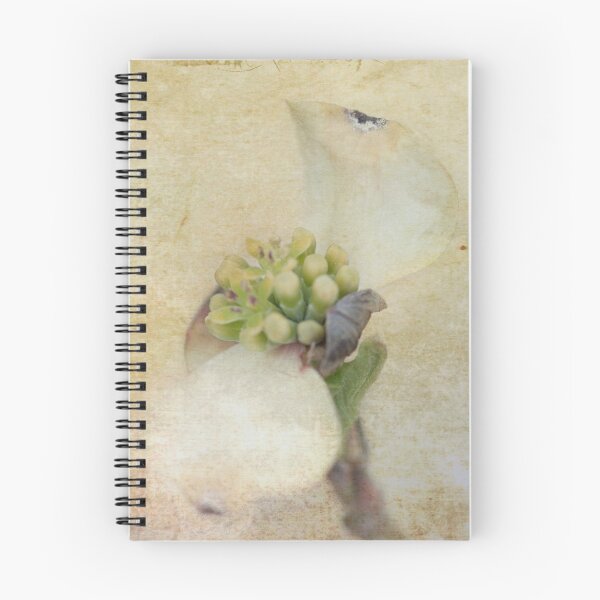 Item preview, Antiqued Magnolia designed and sold by Mass Monumentalist.