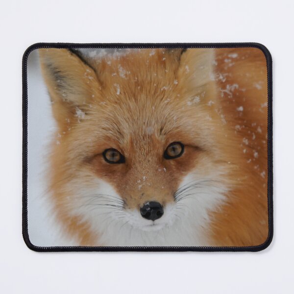 Item preview, Stunning Fox in the Winter Snow, Wild and Beautiful designed and sold by Orianah.