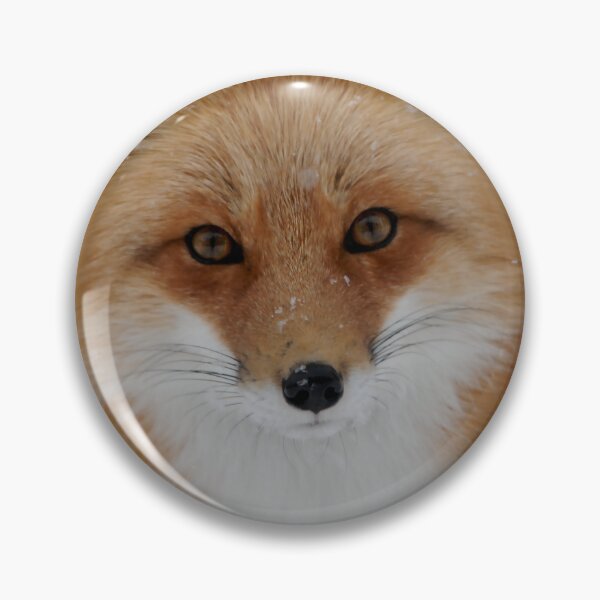 Item preview, Stunning Fox in the Winter Snow, Wild and Beautiful designed and sold by Orianah.