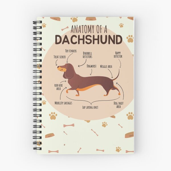Item preview, Dachshund body parts designed and sold by TRACY484.
