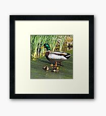 The Babysitter Framed Print