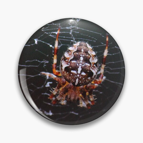 Item preview, Garden Spider designed and sold by paulbeecham.