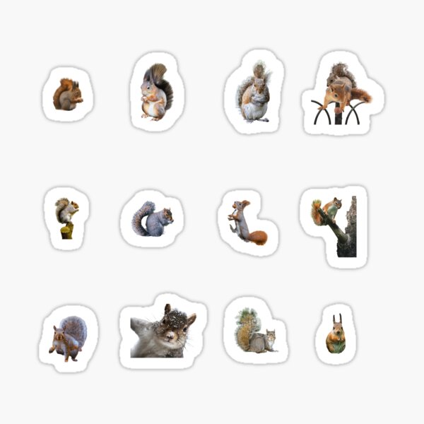 Item preview, Squirrel Sticker Pack designed and sold by holbytv.