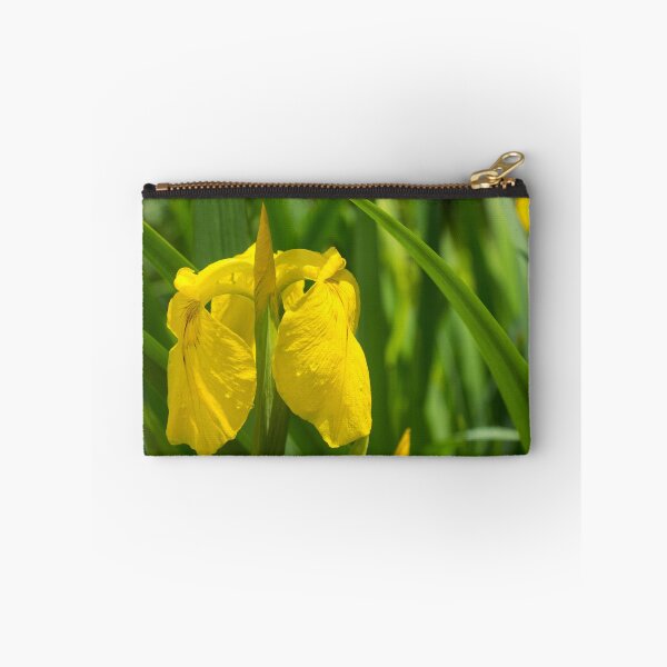 Item preview, One Bold Yellow Iris - Fresh Summertime Floral designed and sold by Georgia Mizuleva.