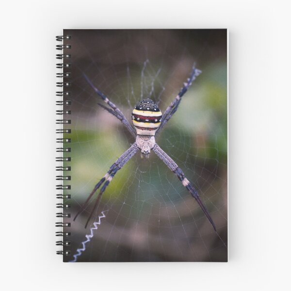 Item preview, Spider in the Garden designed and sold by Danielle Espin.