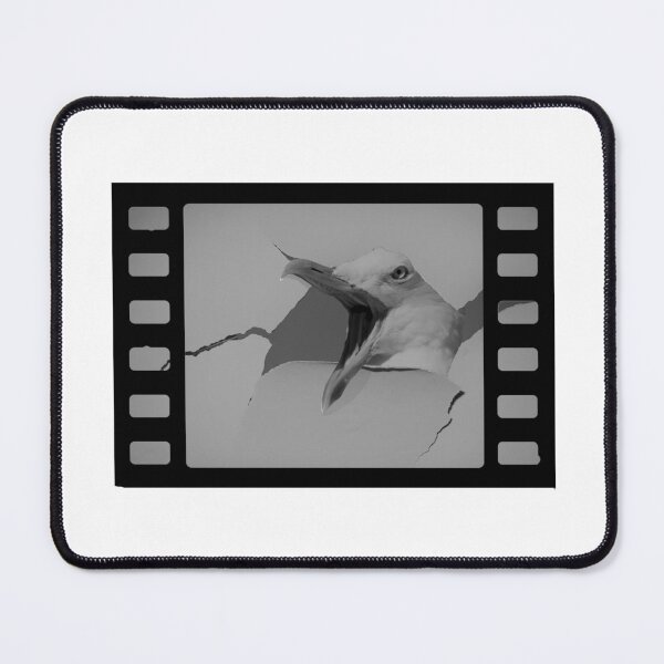 Item preview, ¡Cuidado con las gaviotas! (en blanco y negro) designed and sold by Skyfull5.