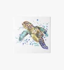 Sea Turtle Pura Vida Watercolor Art Board Print
