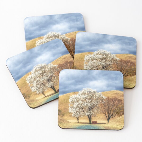 Item preview, Daereungwon Magnolia Kobus Blossom designed and sold by aaronchoi.