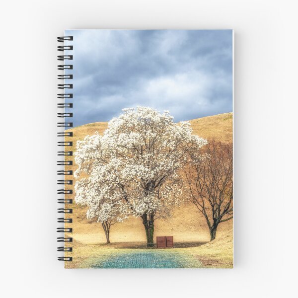 Item preview, Daereungwon Magnolia Kobus Blossom designed and sold by aaronchoi.