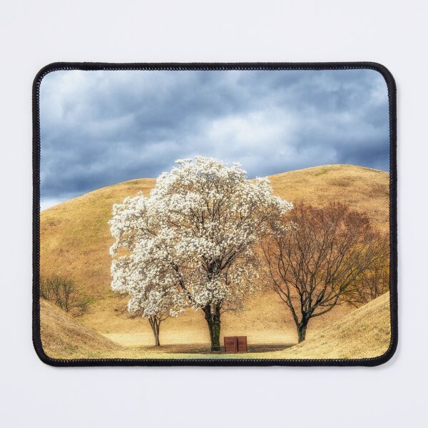 Item preview, Daereungwon Magnolia Kobus Blossom designed and sold by aaronchoi.