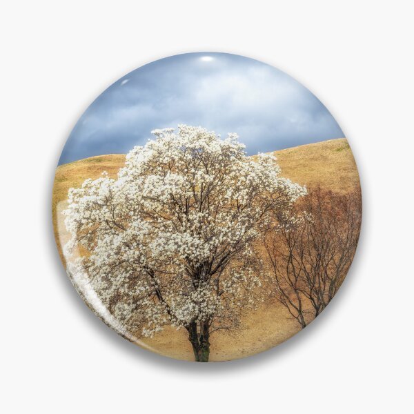Item preview, Daereungwon Magnolia Kobus Blossom designed and sold by aaronchoi.