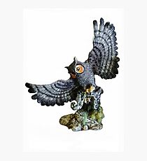 Owl & Prey Photographic Print