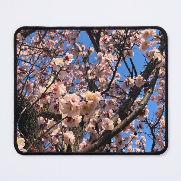 Item preview, Cherry Blossoms in Yeouido - South Korea Photographs designed and sold by YemmyZImages.